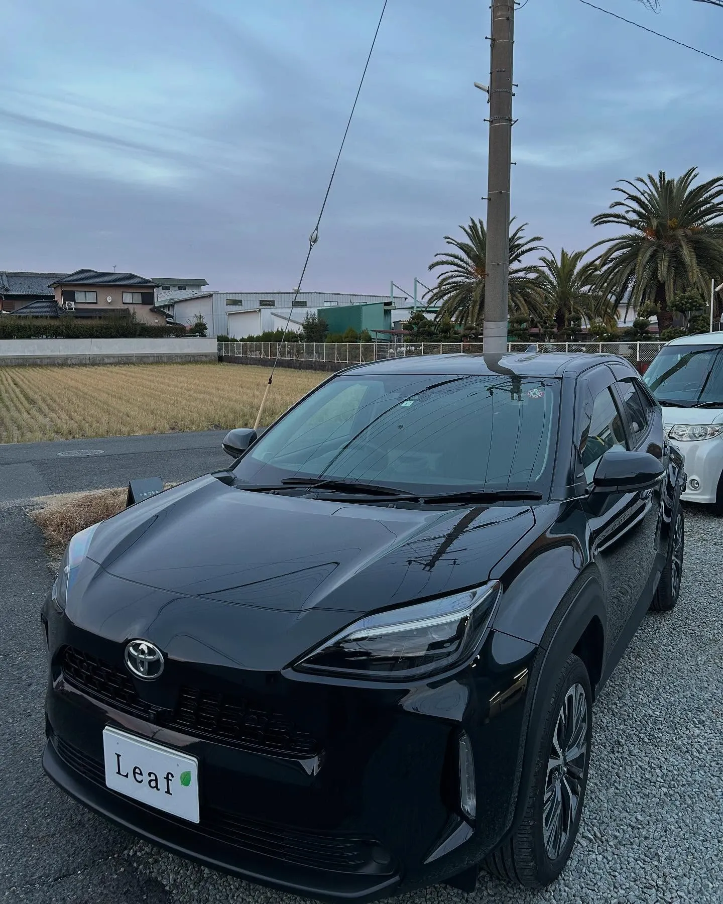 トヨタ ヤリス・クロス